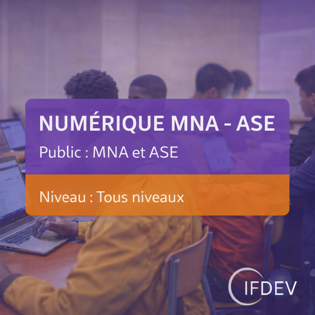 NUMERIQUE MNA - ASE